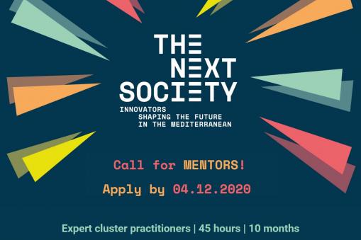 Mentoring for Cluster THE NEXT SOCIETY: Cluster Mentoring Reloaded