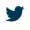 Twitter_Logo_Bleufoncé30x30.png