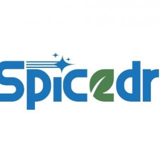 Team SpiceDR